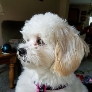 Meet your Posher, Kathy